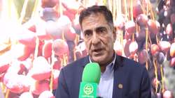 پیش‌بینی ارزآوری 300 میلیون دلاری خرما در سال جاری